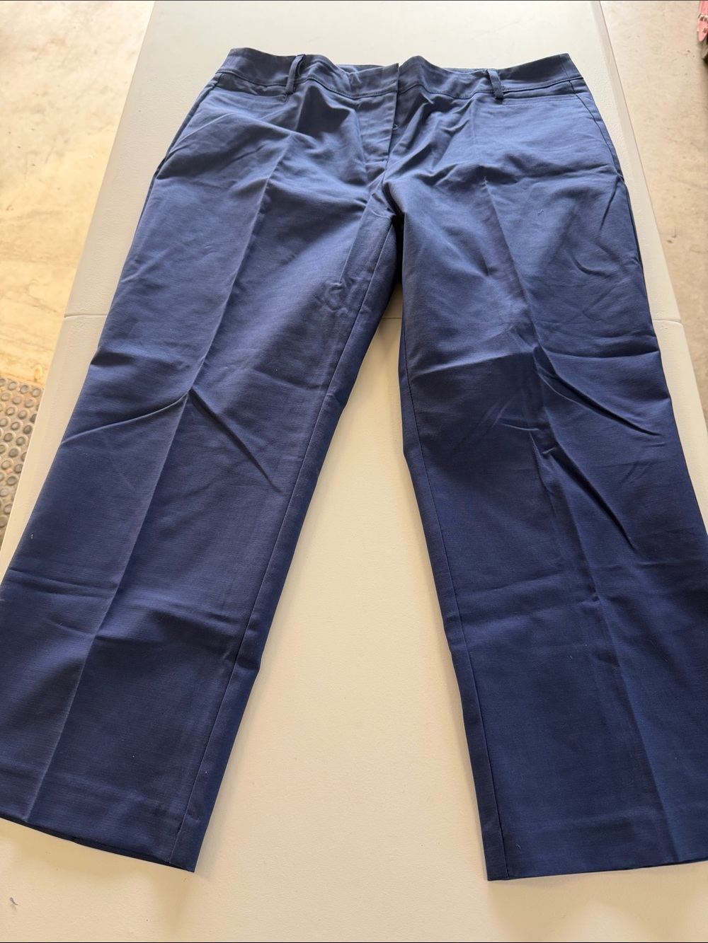 Woman’s Apt. 9 Navy Cropped Chinos, Size 12